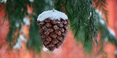 Существенное похолодание. Какая погода ожидается в Украине на рождественские выходные