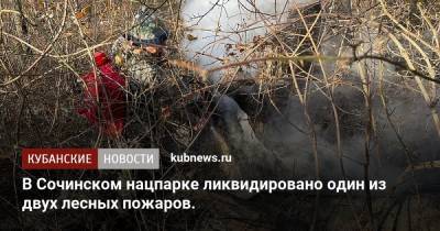 В Сочинском нацпарке ликвидировано один из двух лесных пожаров.
