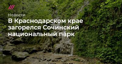 В Краснодарском крае загорелся Сочинский национальный парк