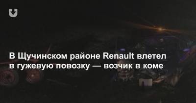 В Щучинском районе Renault влетел в гужевую повозку — возчик в коме