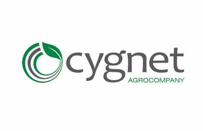 Cygnet увеличила выручку почти на 60%