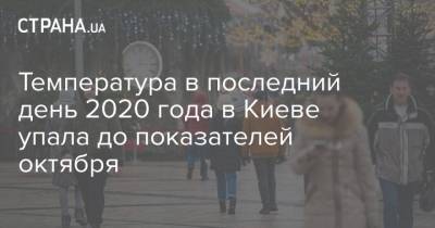Температура в последний день 2020 года в Киеве упала до показателей октября