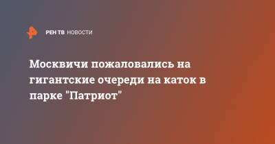 Москвичи пожаловались на гигантские очереди на каток в парке "Патриот"