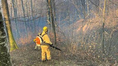 Власти назвали поджоги возможной причиной природных пожаров в Сочи