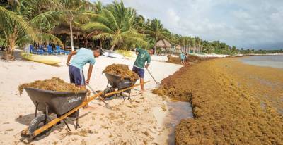 Израильская инновация спасет белоснежные пляжи Карибов от экологического бедствия и даст много прибыли