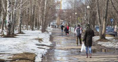 Как в октябре: в Киеве новый год начался с температурных рекордов