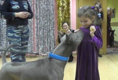 В Пушкине собаки-полицейские поздравили воспитанников детского дома с Новым годом