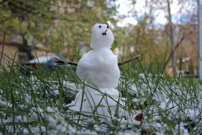В Белоруссии мужчину засудят за снеговика с усами