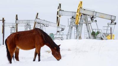 Средняя цена нефти Urals за 2020 год снизилась более чем на треть