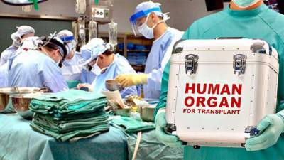 В Украине заработала Единая государственная информационная система по трансплантации органов и тканей