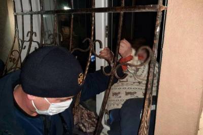 В Днепропетровской области женщина залезла в оконную решетку и не смогла выбраться: на помощь пришли спасатели (фото)