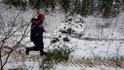 Энергетики Тверской области перешли на особый режим работы из-за ухудшения погодных условий