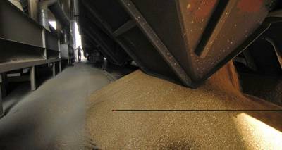 Перевозки зерна в Латвии: в прошлом году помог урожай, а в этом все обрушат квоты РФ