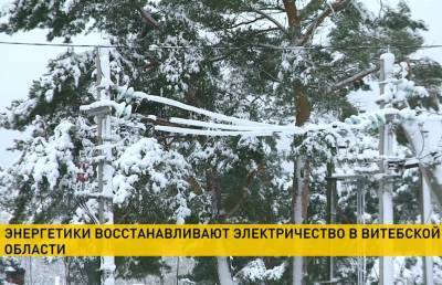 Отключения электричества из-за снега фиксируют в Витебской области