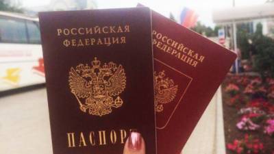 Минтранс ДНР организовал более 2,5 тыс. рейсов в Россию за паспортами