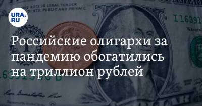 Бизнесмены РФ обогатились на триллион рублей за 2020 год