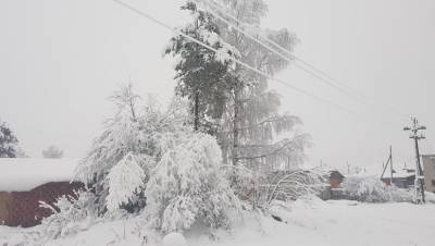 После снежного циклона в районах Тверской области восстанавливают электроснабжение