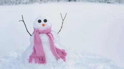 Калужские хулиганы разбили 200 подготовленных для конкурса снеговиков