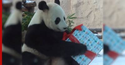 Новогодние подарки с сюрпризом получили обитатели московского зоопарка
