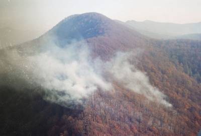 Два из трех природных пожара в Сочи потушены