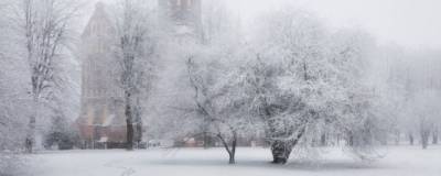 Калининградскую область на неделе ждут снегопады