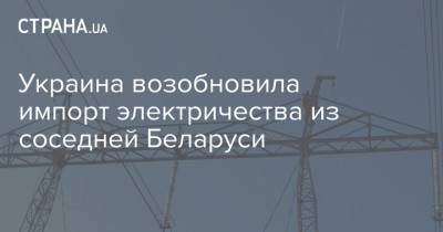 Украина возобновила импорт электричества из соседней Беларуси