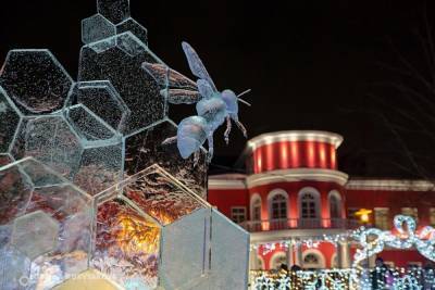 До встречи в Петрозаводске: «Гиперборея-2021» ждет талантливых скульпторов