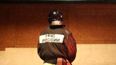 Взрослый и ребенок погибли в результате пожара на юге Москвы