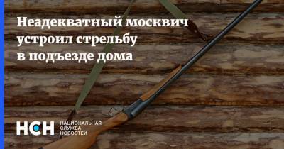 Неадекватный москвич устроил стрельбу в подъезде дома