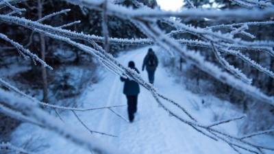 В Гидрометцентре предупредили об аномальном похолодании в ряде регионов РФ