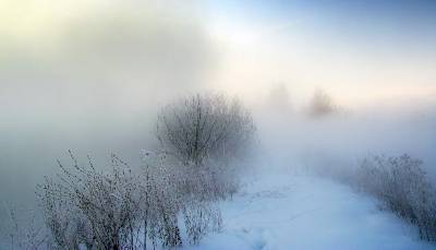 «Утро туманное». В Смоленской области объявлен желтый уровень погодной опасности