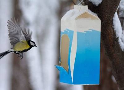Сезонный фудкорт для синичек - делаем кормушки и помогаем птицам пережить зиму