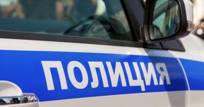 Полицейские устроили погоню за пьяным водителем в Петербурге