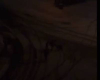 Ночную драку в Смоленской области сняли на видео