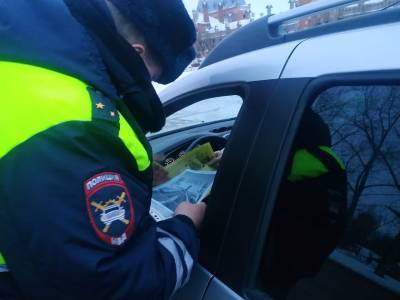 Рязанские полицейские проводят профилактическую акцию «Не спи за рулём»