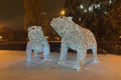 В Липецке вандалы снова повредили инсталляцию «Полярные медведи»