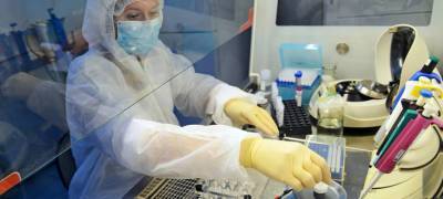 Количество заболевших коронавирусом в Карелии сократилось при двукратном росте числа тестов
