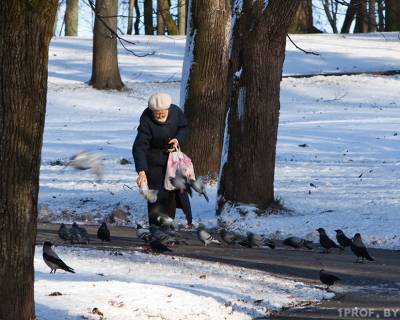 К концу недели в Беларуси похолодает, но Рождество не будет снежным