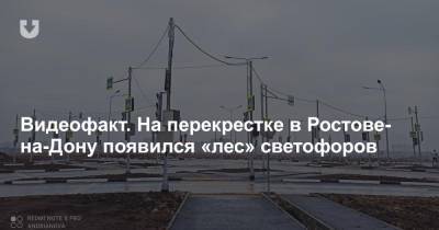 Видеофакт. На перекрестке в Ростове-на-Дону появился «лес» светофоров