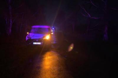 Трагедия на Житомирщине: пьяный водитель сбил двоих деток, одного спасти не удалось