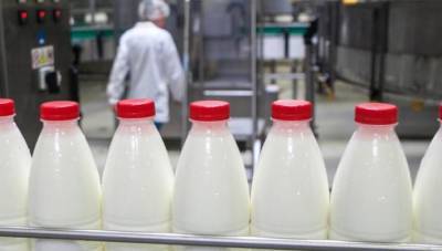 В этом году молочные продукты из Удмуртии появятся на прилавках в Америке