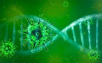 Турецкие ученые объявили о создании прибора, способного диагностировать коронавирус за 10 секунд