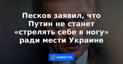Песков заявил, что Путин не станет «стрелять себе в ногу» ради мести Украине