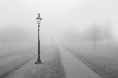 В Рязанской области объявили метеопредупреждение из-за тумана