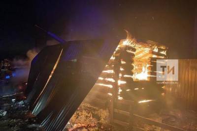 В Лаишевском районе РТ на пожаре погиб охранник коттеджного поселка