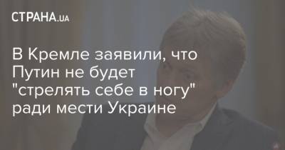 В Кремле заявили, что Путин не будет "стрелять себе в ногу" ради мести Украине