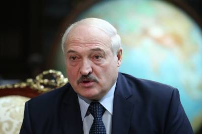 Лукашенко рассказал жителям страны, что делать, если не нравится президент