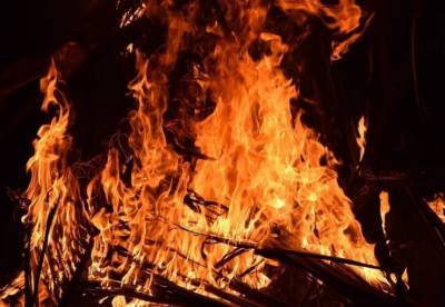 За пять дней в пожарах Ульяновкой области погибли шесть человек