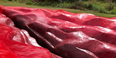«Это искусство?» В Бразилии гигантская скульптура вагины разожгла культурные споры