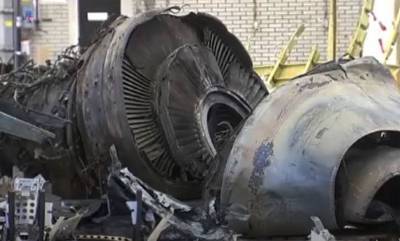 Нидерландский посол в Киеве заявил о недоумении выдачей Украиной в ЛДНР «свидетеля по делу MH17»